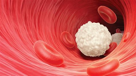 B­i­l­i­m­ ­İ­n­s­a­n­l­a­r­ı­,­ ­4­ ­Y­e­n­i­ ­K­a­n­ ­H­ü­c­r­e­s­i­ ­K­e­ş­f­e­t­t­i­l­e­r­!­